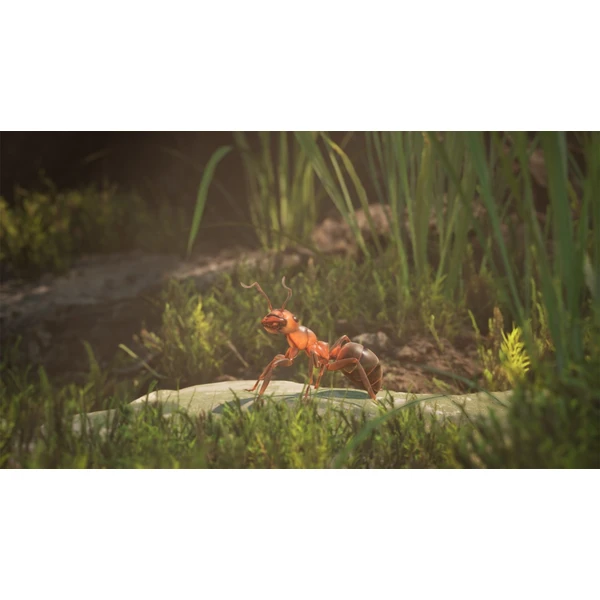 Empire of the Ants Limited Editiion (PS5) - Hry na PS5 - Obrázok S2BA000J01