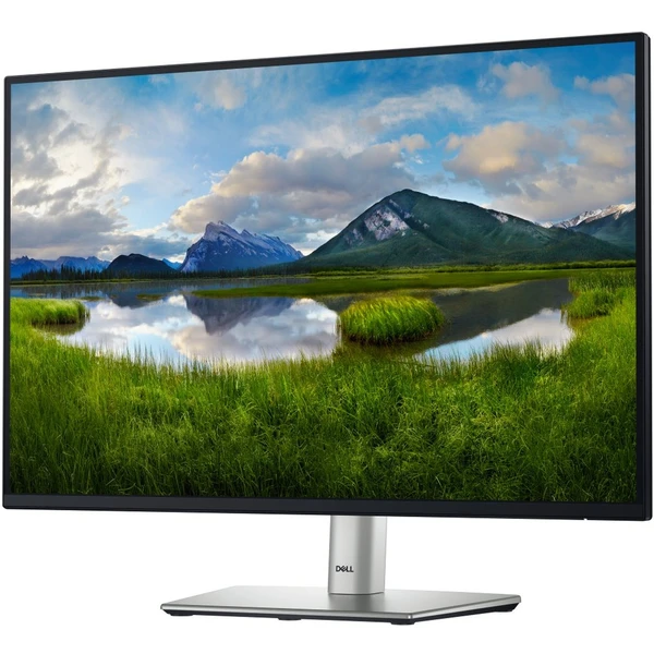 Dell P2425 monitor 24" - Monitory - Obrázok S4N3000J01