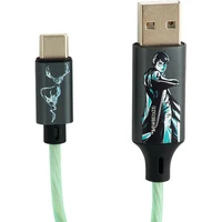 Lazerbuilt Harry Potter - Patronus USB-A/USB-C svietiaci napájací kábel 10W 1,2m zelený - Káble a redukcie