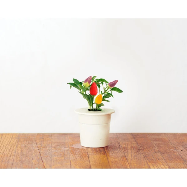 Click and Grow chilli papričky kapsule so semienkami a substrátom 3ks - Sadenice - Obrázok SLSR000401
