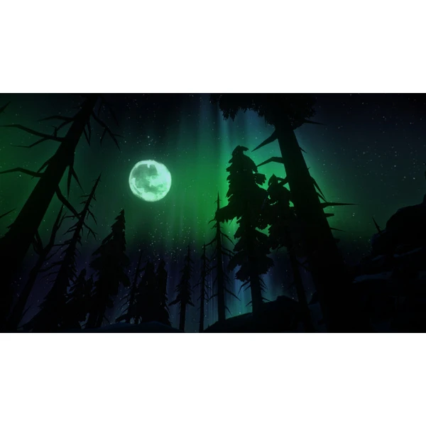 The Long Dark (PS4) - Hry na PS4 - Obrázok SO95100201