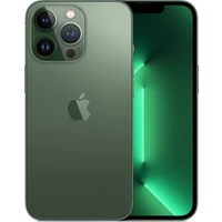 Apple iPhone 13 Pro 256GB alpsky zelený - Mobilné telefóny