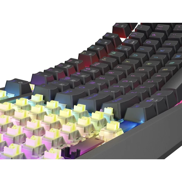 Genesis THOR 230 TKL RGB bezdrôtová mechanická klávesnica čierna Outemu Silent Lemon - Klávesnice - Obrázok T4I5000O01