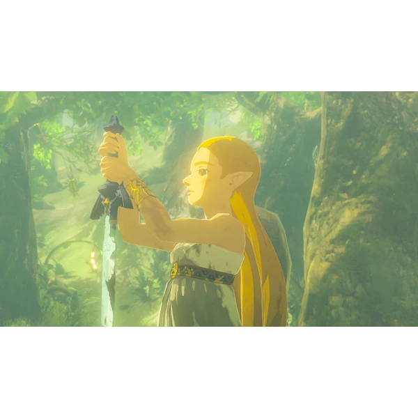 NS2 Legend of Zelda: Breath of the Wild (Switch 2) - Hry na Nintendo Switch 2 - Obrázok T7OF000L01