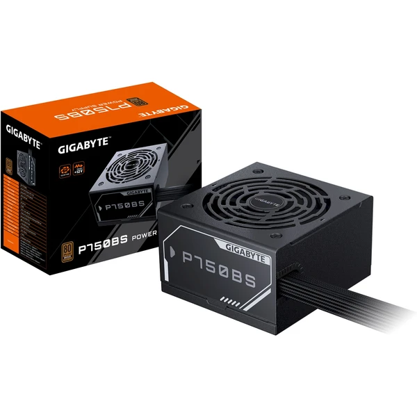 GIGABYTE GP-P750BS - Zdroje - Obrázok TBOK000K01