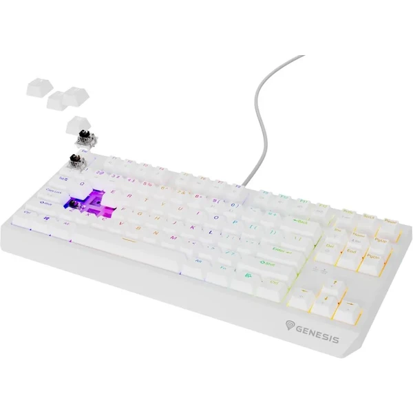 Genesis THOR 230 TKL RGB mechanická klávesnica biela Outemu Brown - Klávesnice - Obrázok U2I5000O01