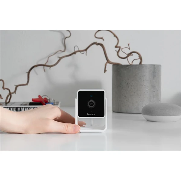 PetCube Cam - Kamery - Obrázok U5T5000J01