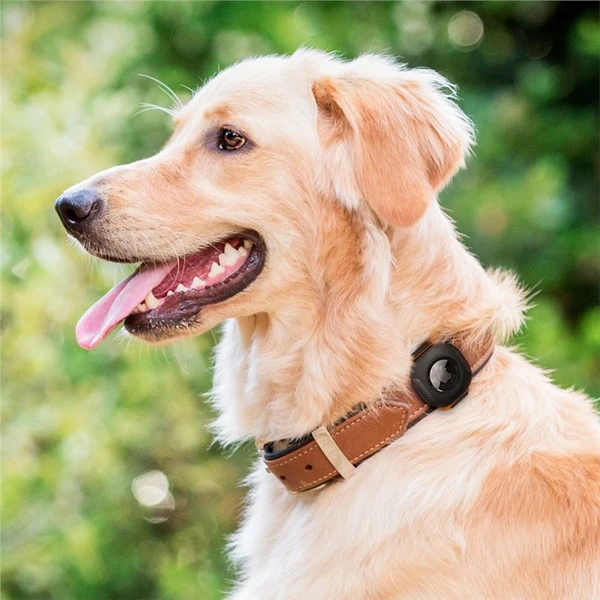 Spigen Pet Collar kryt na obojok pre Apple AirTag čierny - Puzdra - Obrázok U6L2000701