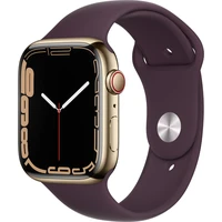 Apple Watch Series 7 Cellular 45mm oceľ - Inteligentné hodinky