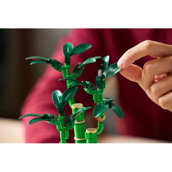 LEGO Botanicals 10344 Bambus šťastie - LEGO - Obrázok V37G000N01