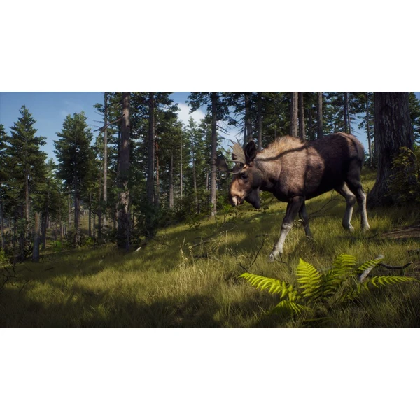 Way of the Hunter (PS5) - Hry na PS5 - Obrázok V5PB100501