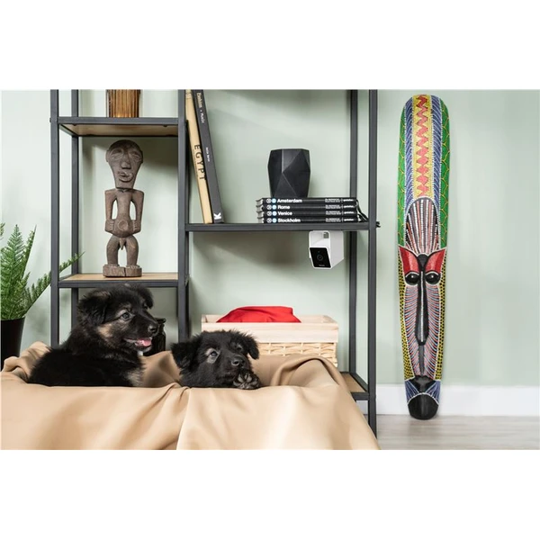 PetCube Cam - Kamery - Obrázok V5T5000J01