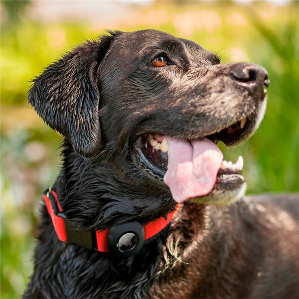 Spigen Pet Collar kryt na obojok pre Apple AirTag čierny - Puzdra - Obrázok V6L2000701
