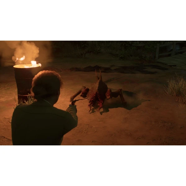 Alone in the Dark (PC) - Hry na PC - Obrázok VN4G100501