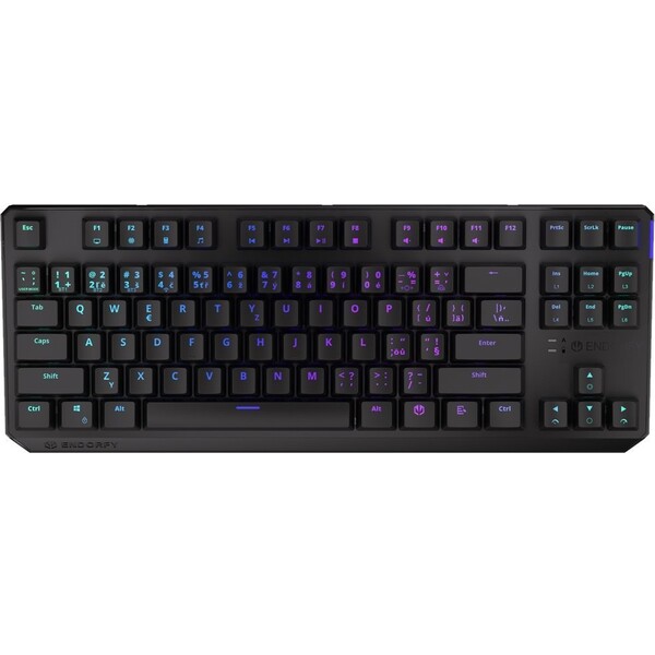 E-shop Endorfy Thock TKL Kailh Red CZ/SK bezdrôtová klávesnica čierna