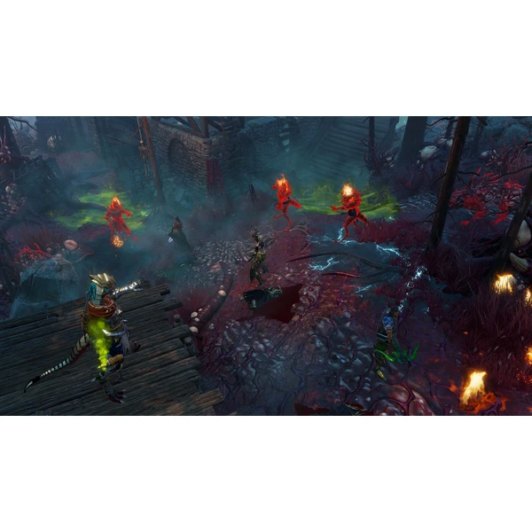 Divinity: Original Sin 2 Definitive Edition (PS4) - Hry na PS4 - Obrázok W0Q3100201
