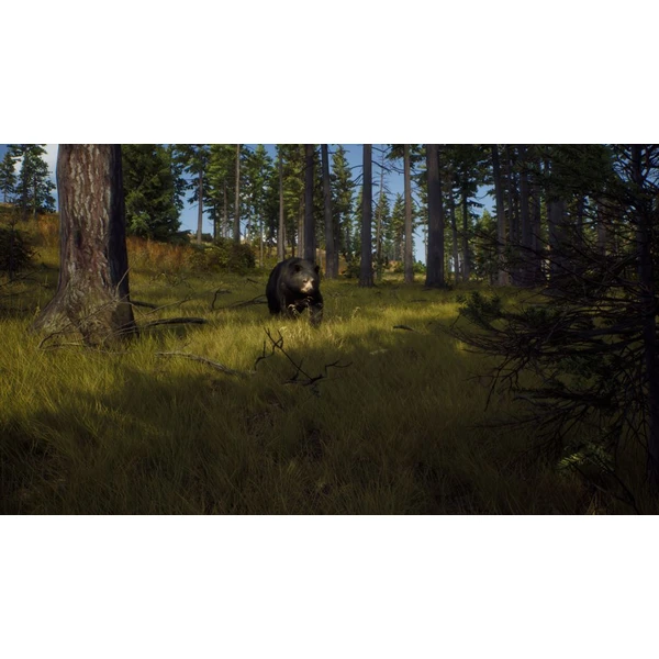 Way of the Hunter (PS5) - Hry na PS5 - Obrázok W5PB100501