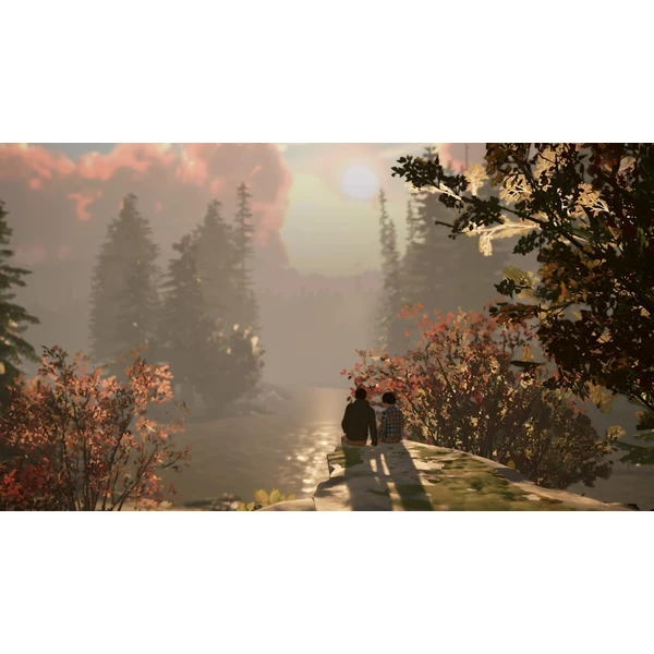 Life is Strange 2 (Code in Box) (Switch) - Hry na Nintendo Switch - Obrázok W5XG000K01