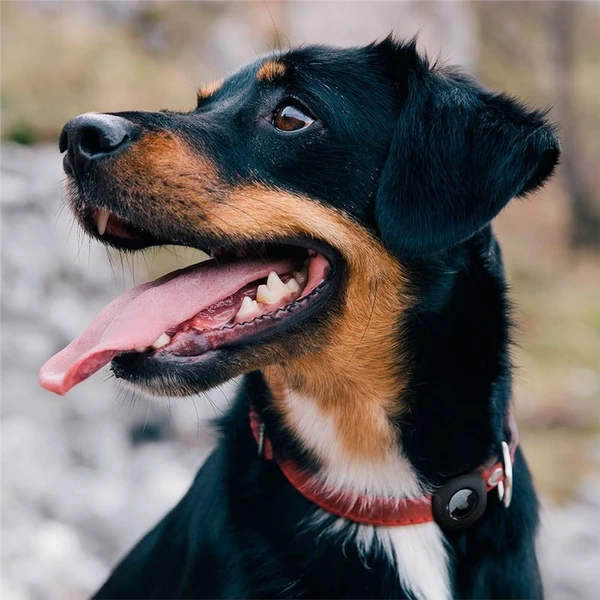 Spigen Pet Collar kryt na obojok pre Apple AirTag čierny - Puzdra - Obrázok W6L2000701