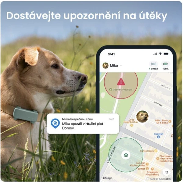 Tractive GPS DOG 6 lokátor polohy a aktivity pre psov mätový - GPS Moduly  - Obrázok WBTD000L01