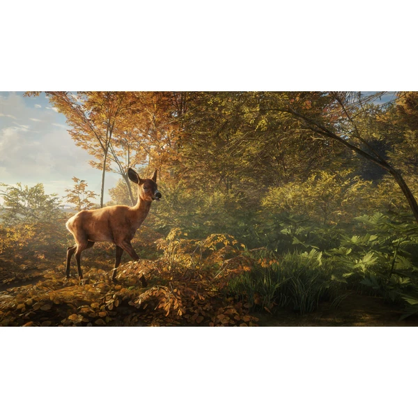 theHunter: Call of the Wild (Xbox One) - Hry na Xbox One - Obrázok WJX3100201
