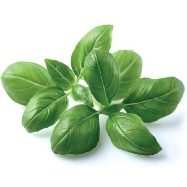 Click and Grow bazalka kapsule so semienkami a substrátom 3ks