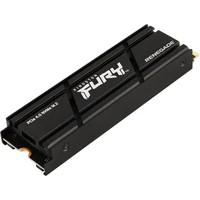 Kingston FURY Renegade M.2 SSD 500GB chladič - SSD