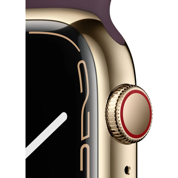 Apple Watch Series 7 Cellular 45mm oceľ (Kategória B) - Inteligentné hodinky - Obrázok WYZZ000501