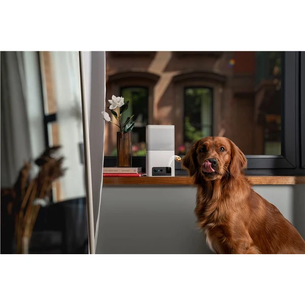 Petcube Bites 2 Lite - Kamery - Obrázok X7T5000J01