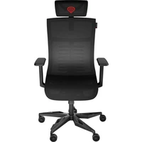 Genesis ASTAT 700 G2 ergonomická stolička čierna - Stoličky