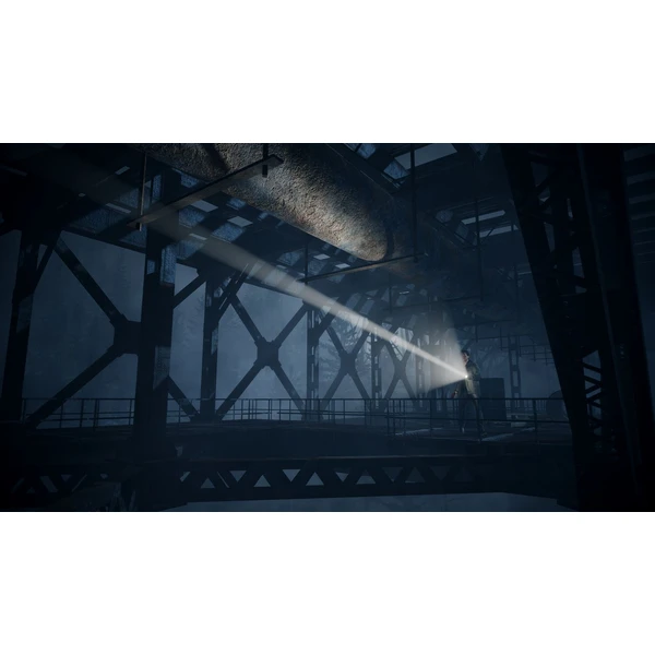 Alan Wake Remastered (PS4) - Hry na PS4 - Obrázok XGAS600301