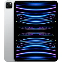 Apple iPad Pro 11" (2022) 256 GB Wi-Fi strieborný - Tablety
