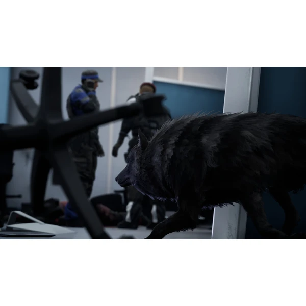 Werewolf The Apocalypse - Earthblood (Xbox One) - Hry na Xbox One - Obrázok Y3D3100201