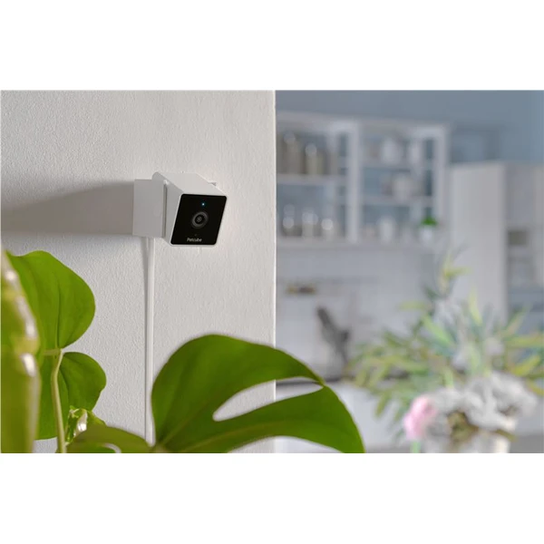 PetCube Cam - Kamery - Obrázok Y5T5000J01