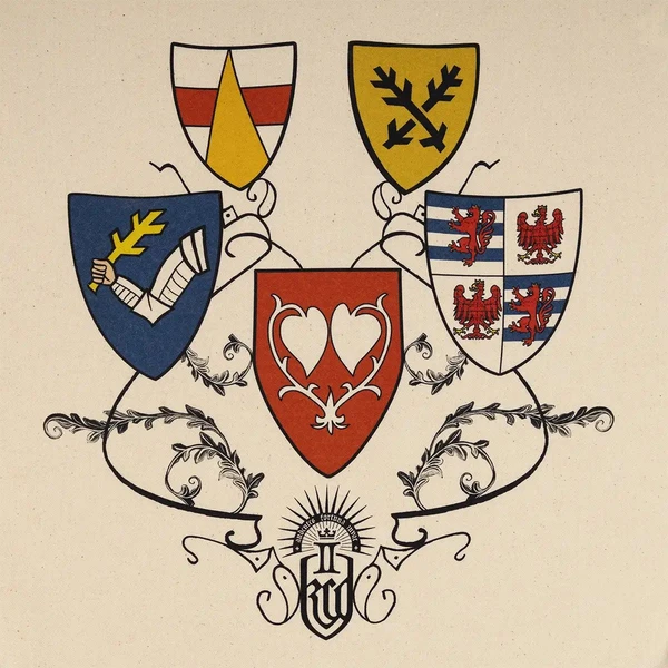 Gymbag Kingdom Come: Deliverancia II - Coat of Arms - Batohy - Obrázok Y88D000L01