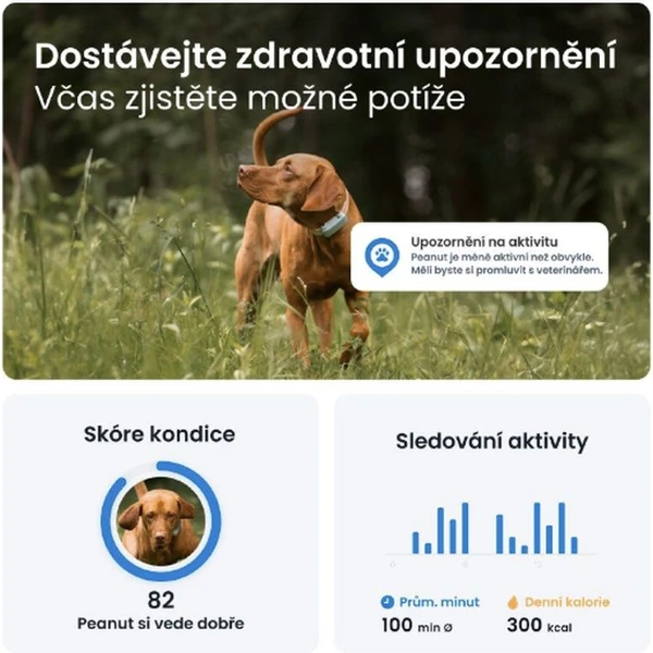 Tractive GPS DOG 6 lokátor polohy a aktivity pre psov mätový - GPS Moduly  - Obrázok YBTD000L01