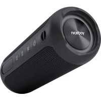 Niceboy RAZE Polaris bezdrôtový reproduktor čierny - Reproduktory
