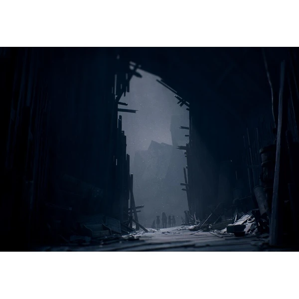 Reanimal (Game-key card) (Switch 2) - Hry na Nintendo Switch 2 - Obrázok c234b00056a3461ea7ea37b5d6f2f170