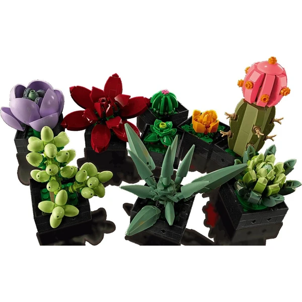 LEGO Botanicals 10309 Sukulenty - LEGO - Obrázok d_054310a6d8434c78b3bf9d54442d575f