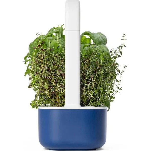 Click and Grow Smart Garden 9 šikovný kvetináč + 9ks kapsúl so semienkami tmavomodrý - Kvetináče - Obrázok d_07d56c38abf546fdb94311846b8374fb