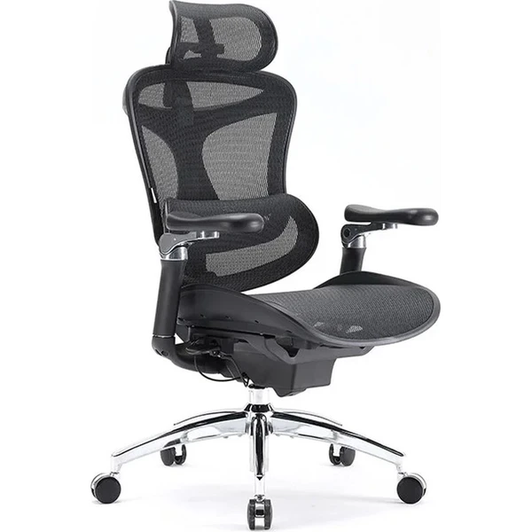 SIHOO Doro C300 Pro stolička čierna - Stoličky - Obrázok d_0b075e99958244fbb64cdc492026e88b