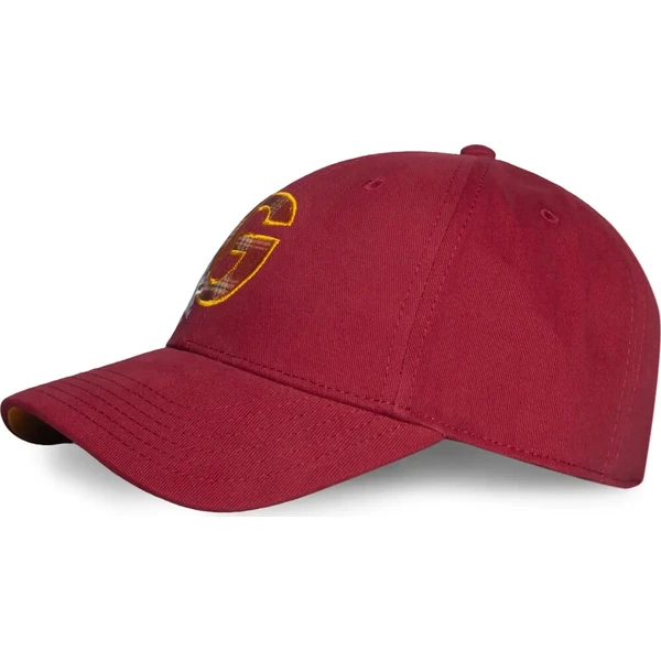 Kšiltovka Harry Potter - Gryffindor - Čiapky a klobúky - Obrázok d_0c6b1f46cd784b549dc31a872cc60265