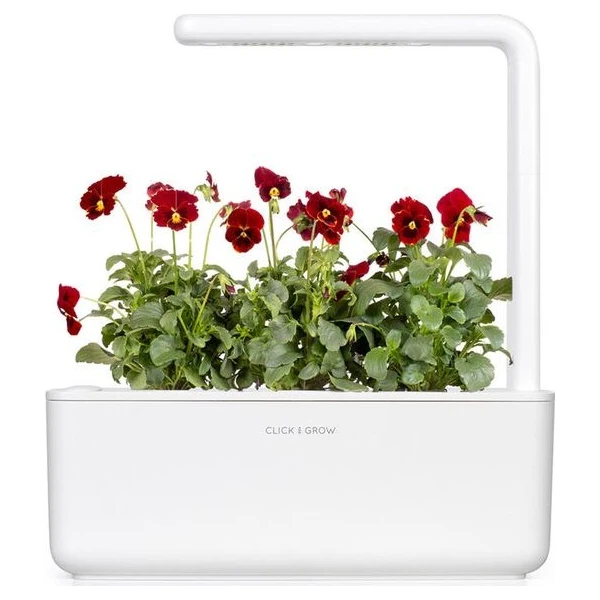 Click and Grow sadenice - Maceška červená - Sadenice - Obrázok d_0f85e0dbede14f8398e421147c645240