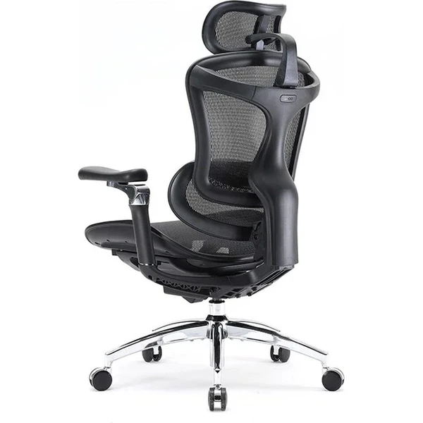 SIHOO Doro C300 Pro stolička čierna - Stoličky - Obrázok d_108df41d786d44bca2d3802589a99c04