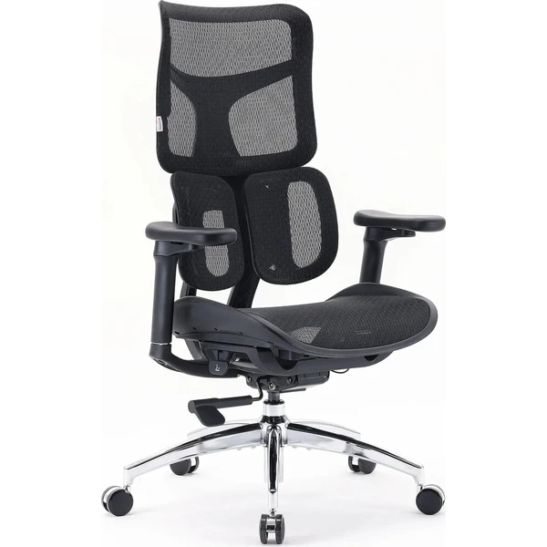 SIHOO Doro S100 stolička čierna - Stoličky - Obrázok d_173912da4305418a80406b641d2b40e3