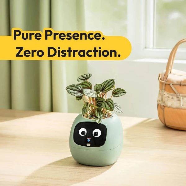 PLANTSIO IVY gen 2 Inteligentný kvetináč biely - Kvetináče - Obrázok d_17abb41d50224c9dbfc390767158668d
