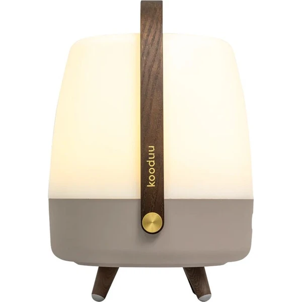 KOODUU Lite-up Play JBL bezdrôtový reproduktor Earth - Reproduktory - Obrázok d_1b38ed3e0646494d9c9a6f12b8a38fc6