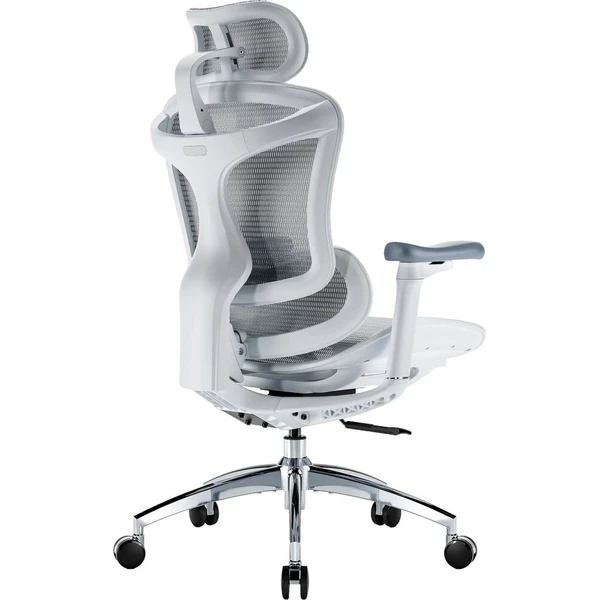SIHOO Doro C300L biela stolička - Stoličky - Obrázok d_1ed07eb0c0404a5aba6198bf50a5781c
