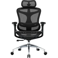 SIHOO Doro C300L stolička čierna - Stoličky