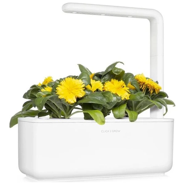 Click and Grow sadenice - Nechtík lekársky - Sadenice - Obrázok d_29b14a7fe8b149c687595c7d1afd6802